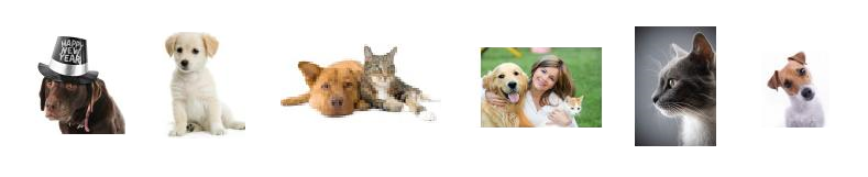 Pet